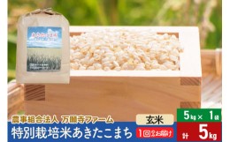 【ふるさと納税】【玄米】令和5年産 特別栽培米あきたこまち 5kg（5kg×1袋）