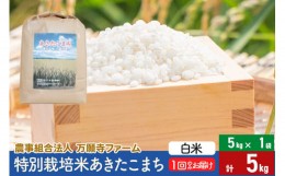 【ふるさと納税】【白米】令和5年産 特別栽培米あきたこまち 5kg（5kg×1袋）