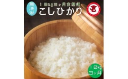 【ふるさと納税】【3ヶ月定期便】 無洗米コシヒカリ 10kg 3ヶ月【千葉県産】【お米マイスター厳選】