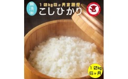 【ふるさと納税】【6ヶ月定期便】 無洗米コシヒカリ 10kg 6ヶ月【千葉県産】【お米マイスター厳選】