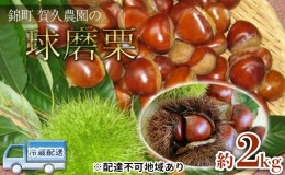 【ふるさと納税】栗 草生栽培で育てた賀久農園の球磨栗 約2kg  2024年発送 配送不可 離島