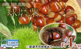 【ふるさと納税】栗 草生栽培で育てた賀久農園の球磨栗 約4kg 2024年発送 配送不可 離島