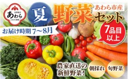 【ふるさと納税】【先行予約】農家直送 夏野菜セット 1箱 7品目以上 《元気に育った新鮮野菜！》※2024年7月中旬以降発送