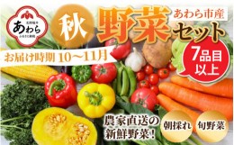 【ふるさと納税】【先行予約】農家直送 秋野菜セット 1箱 7品目以上 《元気に育った新鮮野菜！》※2024年10月下旬以降発送