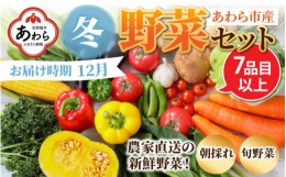 【ふるさと納税】【先行予約】農家直送 冬野菜セット 1箱 7品目以上 《元気に育った新鮮野菜！》※2024年12月上旬以降発送