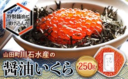 【ふるさと納税】川石水産の醤油いくら 250g【配送日指定不可】  YD-591