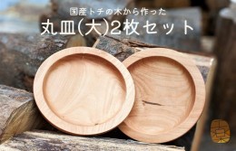 【ふるさと納税】国産トチの木から作った丸皿(大)2枚セット 030D137