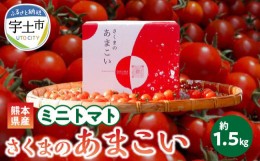 【ふるさと納税】137-1　熊本県産　ミニトマト　約1.5kg　「さくまのあまこい」