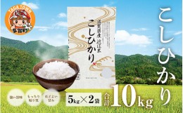 【ふるさと納税】【令和5年産】こしひかり 10kg（5kg × 2袋） BG無洗米[B-00402]