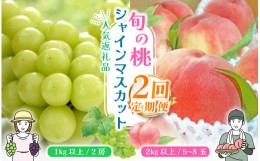 【ふるさと納税】＜2024年先行予約＞【山梨県産 旬の果物 2回送り】旬の桃 シャインマスカット 定期便 180-006 ｜ぶどう 桃 シャインマス