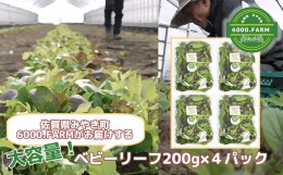 【ふるさと納税】FV002_大容量ベビーリーフ200ｇ×４セット 有機JAS認証取得 野菜　産地直送　旬野菜　新鮮野菜　国産　冷蔵発送