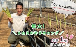 【ふるさと納税】アスパラガス アスパラ カトちゃん農園の極太アスパラガス  (さぬきのめざめロング) 春芽 1kg 極太 2L以上 バラ詰め 香