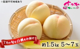 【ふるさと納税】桃 2024年 先行予約 7月の旬な 白桃 をお届け！約1.5kg 5〜7玉 もも モモ 岡山県 赤磐市産 国産 フルーツ 果物 ギフト 