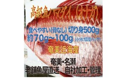 【ふるさと納税】高級魚「ハマダイ(オナガ)」切り身500g（甘塩）奄美大島老舗鮮魚店が加工製造 - 小分け 真空パック ハマダイ 高級魚 オ