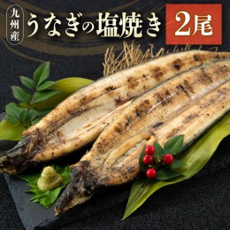 【ふるさと納税】うなぎの塩焼き 2尾 合計320g以上 九州産【C403】