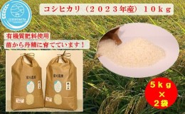 【ふるさと納税】千葉県一宮町産コシヒカリ（白米１０？）令和５年産米【2023年発送分】　一等米　５kg　２袋　白米　精米