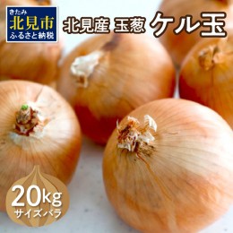 【ふるさと納税】【予約：2024年11月上旬から順次発送】北見産玉ねぎ ケル玉 20kg ( 機能性玉葱 サイズバラ 玉ねぎ たまねぎ タマネギ 玉