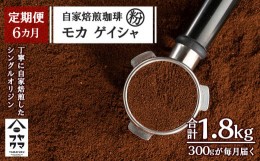 【ふるさと納税】【定期便6ヶ月】自家焙煎珈琲 モカ ゲイシャ（粉） 300g