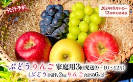 【ふるさと納税】先行予約 ぶどうりんご家庭用3回発送（9・10・12月）（ぶどう合計約2kgりんご合計約6kg）2024年発送