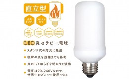 【ふるさと納税】炎のゆらぎを再現したLED電球『炎セラピー』LDT5