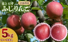 【ふるさと納税】【令和6年産 先行予約】葉とらずリンゴ「ふじりんご」　約5kg（14〜18玉入）　伊藤農園