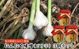 【ふるさと納税】にんにく味噌（ピリ辛）3個セット【田子町産にんにく使用】