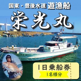 【ふるさと納税】豊後水道で釣る！ 遊漁船栄光丸 乗船チケット 1名様_2152R