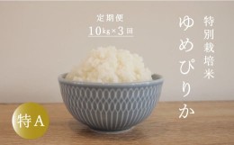 【ふるさと納税】【定期便】特別栽培米ゆめぴりか 10kg×3回 舟山農産