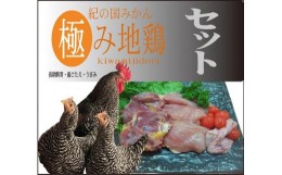 【ふるさと納税】紀の国みかん極み地鶏セット