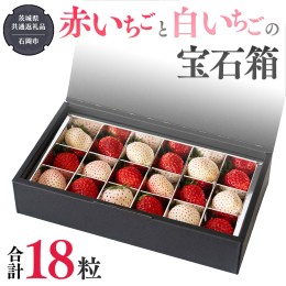 【ふるさと納税】赤いちご と 白いちご の宝石箱 18粒 【令和5年12月から発送開始】（県内共通返礼品：石岡市産） 果物 フルーツ いちご 