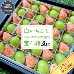 【ふるさと納税】白いちご と シャインマスカット の 宝石箱 36粒 【令和6年12月から発送開始】（県内共通返礼品：かすみがうら市産） 果