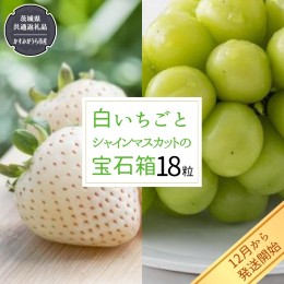 【ふるさと納税】白いちご と シャインマスカット の 宝石箱 18粒 【令和6年12月から発送開始】（県内共通返礼品：かすみがうら市産） 果