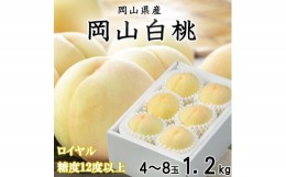 【ふるさと納税】＜先行予約＞【2024年7月発送開始】岡山白桃 ロイヤル 4〜8玉 1.2kg TY0-0259