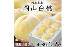 【ふるさと納税】＜先行予約＞【2024年7月発送開始】岡山白桃 エース4〜8玉 1.2kg TY0-0260