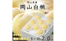 【ふるさと納税】＜先行予約＞【2024年7月発送開始】岡山白桃 ロイヤル 5〜10玉 2kg TY0-0265