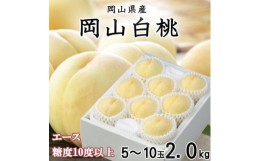 【ふるさと納税】＜先行予約＞【2024年7月発送開始】岡山白桃 エース 5〜10玉 2kg TY0-0266