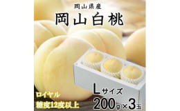 【ふるさと納税】＜先行予約＞【2024年7月発送開始】岡山白桃 ロイヤル 3玉×200g (Lサイズ) TY0-0269