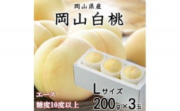 【ふるさと納税】＜先行予約＞【2024年7月発送開始】岡山白桃 エース 3玉×200g(Lサイズ ) TY0-0270