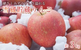 蜜入り りんご 山形の通販｜au PAY マーケット