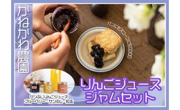 【ふるさと納税】りんごジュース ジャム セット りんご 紅玉 サンふじ ブルーベリー リンゴ 長野