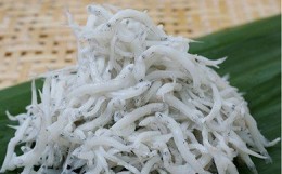 【ふるさと納税】C6001_特選 茹でたて 釜揚げしらす 木箱 1kg 【冷蔵】紀州湯浅湾直送！