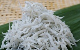 【ふるさと納税】C6002_特選 茹でたて 釜揚げしらす 木箱 1kg 【冷凍】紀州湯浅湾直送！