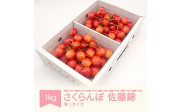 【ふるさと納税】先行予約 さくらんぼ 佐藤錦 秀品 500g×2パック L玉 2024年産 令和六年産 山形県産 mm-snpsx1000