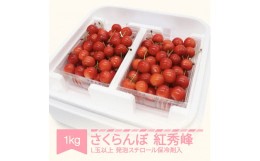 【ふるさと納税】さくらんぼ 紅秀峰 2024年産 令和6年産 1kg詰 L玉以上 発泡スチロール梱包 mo-bshax1