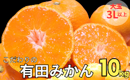 【ふるさと納税】▼有田みかん 大玉3L以上 約10kg 有機質肥料100％ ※2024年12月初旬〜1月中旬に順次発送 ※北海道・沖縄・離島地域は発