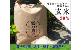 【ふるさと納税】丹波産コシヒカリ玄米30kg