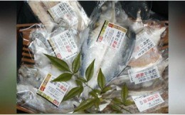 【ふるさと納税】ZD6178_和歌山の近海でとれた新鮮魚の鯛入り梅塩干物と湯浅醤油みりん干し7品種11尾入りの詰め合わせ