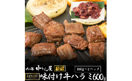 【ふるさと納税】お肉讃歌焼肉セット600g（300ｇ×2パック） ＜肉の匠 中むら屋厳選＞ 【1483】