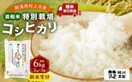 【ふるさと納税】【新米受付・令和6年産米】 NA4209  新潟県村上市桃川産  特別栽培 コシヒカリ 6kg（2kg×3袋）