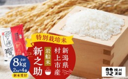 【ふるさと納税】【新米受付・令和6年産米】 NAB4037 村上市桃川産 特別栽培米  新之助8kg